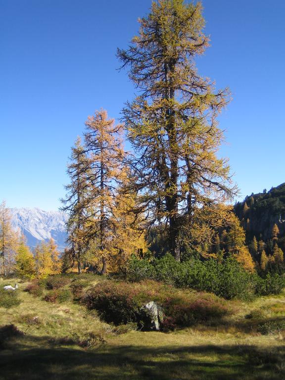 Appartement Ginschel Altenmarkt im Pongau Kültér fotó